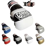 Combat Sports