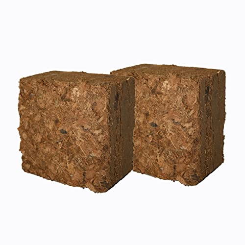 Review de Tierras para huerto urbano comprados en linea. 20 Smart Garden Fibra de Coco comprimida 2X 770gr (2X 7.5L después de Agregar Agua) - Ideal para Tus macetas, huertos urbanos y Reptiles. Incluye 1 Bloque (14cm x 8cm x 14 cm) (15...