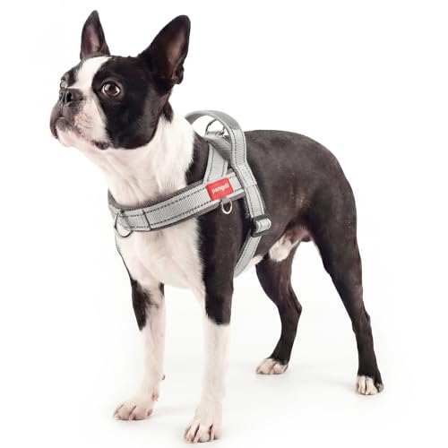 pangdi No Pull Dog Harness with Handle Reflective Dog Vest Light Grey M