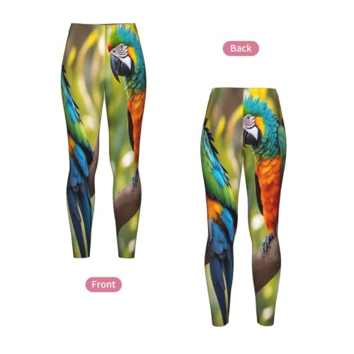 Leggings de plumas de loro: dile adiós a las prendas que clarean 5