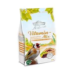 Dehner Premium Natura Wild pájaro Forro, Vitamina de Mezclar, schalenfrei, 2.4 kg