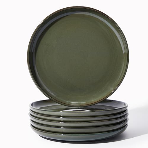 Image of Pokini Ceramic Dinner Plates Set of 6, 10inch Salad, Dessert Plates Dishes