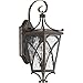 Progress Lighting P6080-108 Cadence Outdoor, Bronze