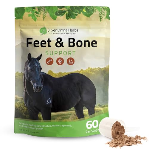 Silver Lining Herbs Feet & Bone Support Horse Supplement Powder Natural Tendons, Ligaments & Surrounding Tissues & Hoof Supplement for Horses - Normal Limbs Circulation Horse Care Supplies - 1 LB
