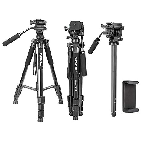65" Camera Tripod,Q310 Lightweight Travel Portable Cell Phone Tripod Stand Monopod with Universal Phone Holder and Carry Bag for Canon, DSRL, SRL,Cell Phones, Projector, Webcam Cover