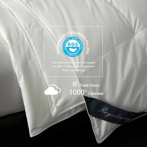 Image of Royoliving Premium Lightweight Feathers Down Duvet Insert Comforter Twin Size Summer Cooling Blanket White, 100% Cotton Cover with Coner Tabs (68x90, 30 oz)