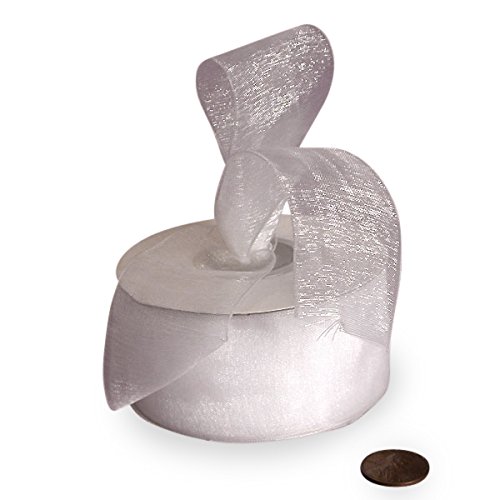 White Shimmer Sheer Organza Ribbon, 7/8