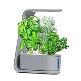 AeroGarden Sprout with Gourmet Herb Seed Pod Kit - Indoor Garden with LED Grow Light, Cool Gray