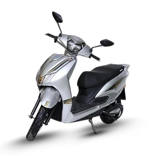 Image of ryoto Polo Speed Electric Scooter Non RTO with 80-100km Range, Lithium Battery, Key Less Start, LED Light, USB Charger, 3 Speed Modes, Anti-Theft, Alloy Wheels