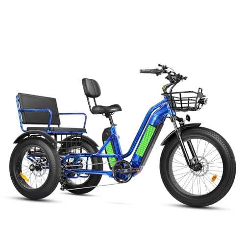 ZYCLE Z700 2-Seater Electric Trike