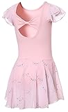 DIPUG Pink Girls Ballet Leotard with Skirt Toddler Shiny Dance Dress with Ruffle Sleeve 6-8 Years