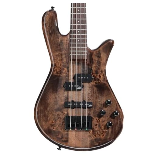 Spector NS Ethos 4 Bass Guitar - Super Faded Black Gloss
