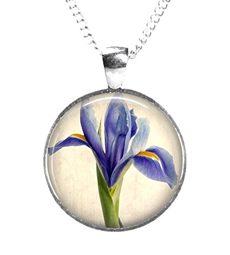 Preisvergleich Produktbild Rosetta London IRIS Glasbild Anhänger an Kette, versilbert (Kunstdruckfoto AA9)