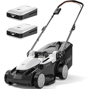 Litheli Akku Rasenmäher 33cm, Rasenmäher Elektro Brushless, 30L Fangkorb, 25-65 mm Schnitthöhe, Rasenmäher Elektro inkl. 2X 20V 4,0 Ah Akku