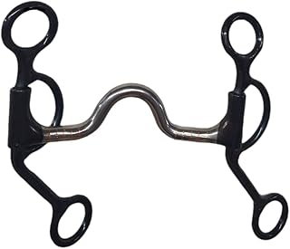 Dutton Bits LMS Swept Back Cheek Ported Equine Bit