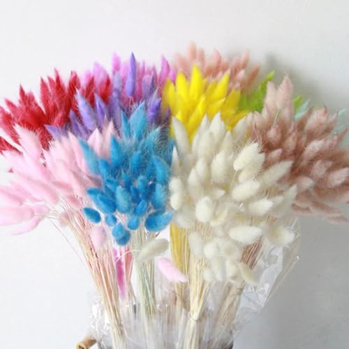 Boho Room Decor 50Pcs 45cm Natural Bunny Rabbit Tail Grass miniatura 2
