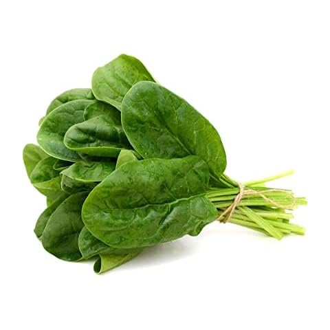 Sorrel 'Red Veined' Plug Plant Pack Cover