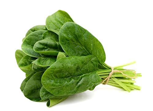 Spinach Plants, 'Renegade', 16 x Plug Plant Pack, Vegetable Plants, Spinach, Garden Vegetables, Leafy Greens, Garden Ready, Premium Quality Vegetables