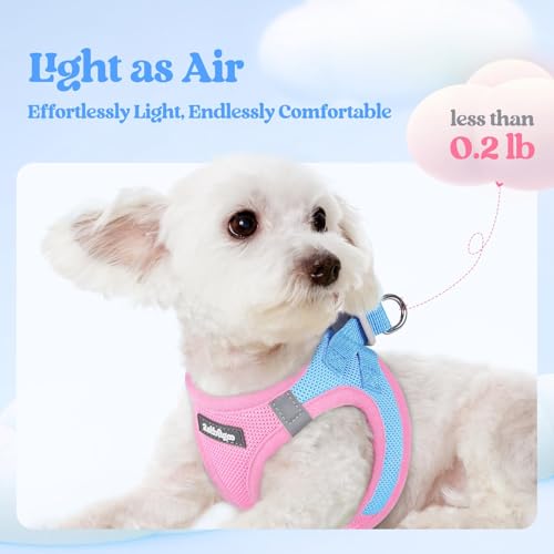 Image of rabbitgoo Dog Harness Medium Sized and Leash Set, Step-in Puppy Pet Vest