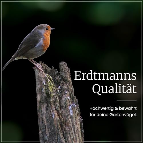 Erdtmanns Fettfutter für Wildvögel 15 × 1000 g – energiereiches Ganzjahresfutter mit Haferflocken, Erdnüssen & Früchten – ideal für Balkon & Garten – beliebt bei Meisen, Amseln