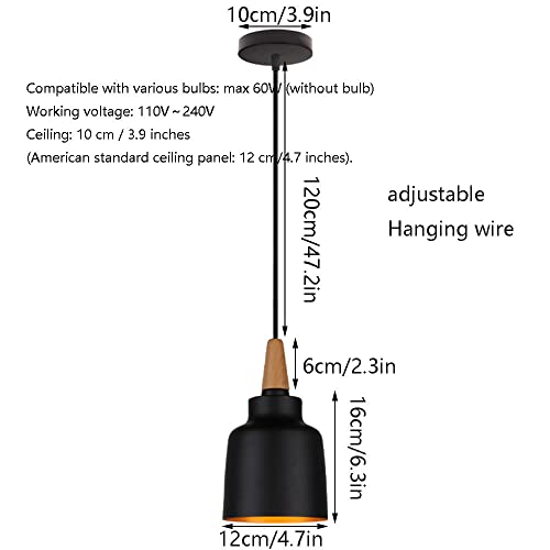 Lámpara de techo de metal negro elegante para diseño de interiores sofisticado 6