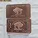 CMCMINT 1 Troy Ounce Copper Bullion Bar, American Buffalo Design, .999 Fine Copper Finish, Rectangular Ingot Shape