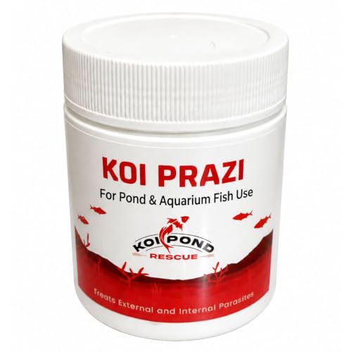 KOI PRAZI Praziquantel Powder for Pond & Aquarium, Effective Fish Treatment for Flukes & Bacterial Infections in Koi and Ornamental Fish (10 Gram)