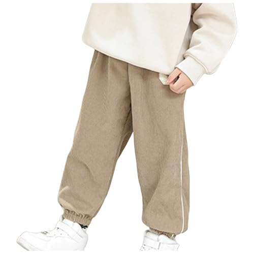 q j̎q ̎q H~ Nуpc Xgb` JWA lC _炩 n XEFbgpc xr[  g  hY{ W[W ӂ ۉ LbY Y{  AEghA ʉ ʊw(J[L,140)