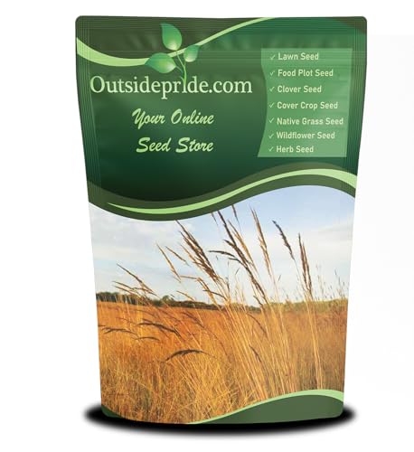 Outsidepride Perennial Tall Native Grass Seed Mix - 1 lbs. Blend of Drought-Tolerant, Low-Maintenance Bluestem, Switchgrass & Indian Grass Seeds for Wildlife Habitat, Erosion Control & Landscaping