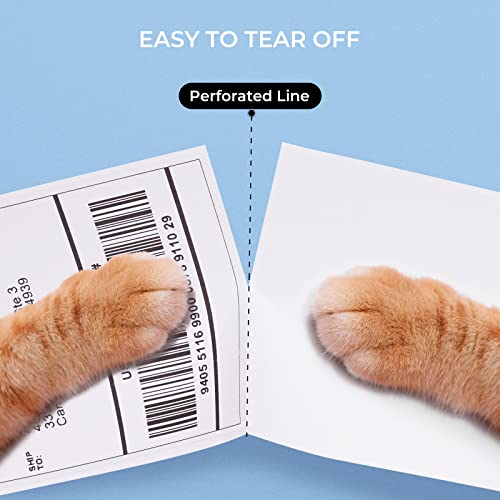 Image of MUNBYN 4x6 Shipping Stickers Label Paper Direct Thermal Fanfold Shipping Labels 500 Postal Address Labels DHL USPS UPS FedEx Amazon Ebay Shipping Label