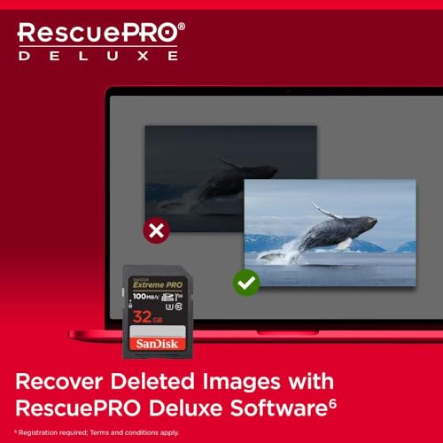 SanDisk Extreme Pro SD UHS I 32GB Card for 4K Video for DSLR and Mirrorless Cameras 100MB/s Read & 90MB/s Write