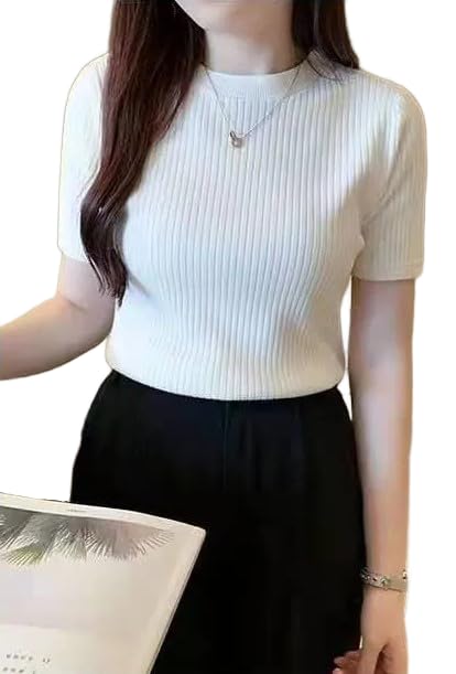 Stylander Plain Round Neck Rib Knit Regular Top for Women