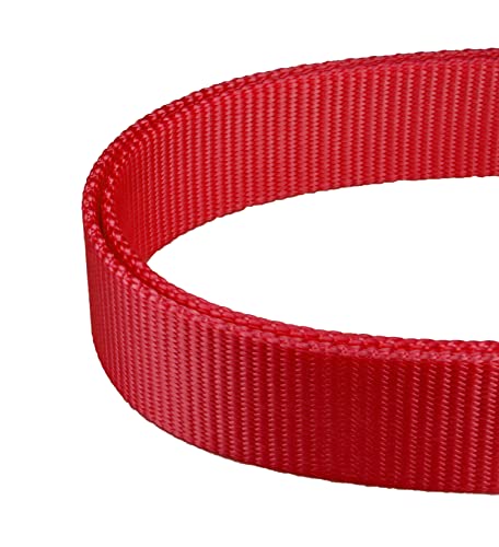 Mikivery marraht EIN hundehalsband mit verschlafenem farbenprächtigen metallhalsband für Haustiere eignet Sich für kleine mittelgroße und groß