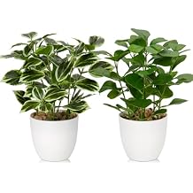 Briful 2PCS Fake Plants Artificial Greenery Potted Faux Lifelike Plant for Farmhouse Home Garden Party Decoration