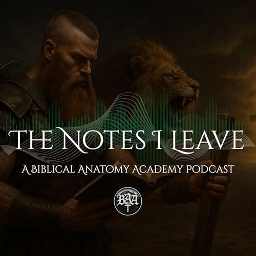 『The Notes I Leave』のカバーアート