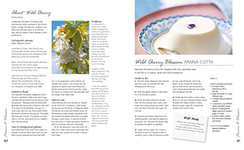 The Forager’s Kitchen Handbook: Foraging tips and over 100 recipes using what you can find for free