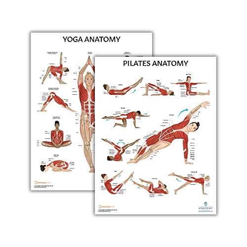 Image of Anatomy Lab Yoga, Pilates Anatomy Poster Set, 2 PACK LAMINATED | 17.3 x 22.5 Inches, Body Chart, Premium Wall Pilates Exercise Chart and Yoga Posters for Wall
