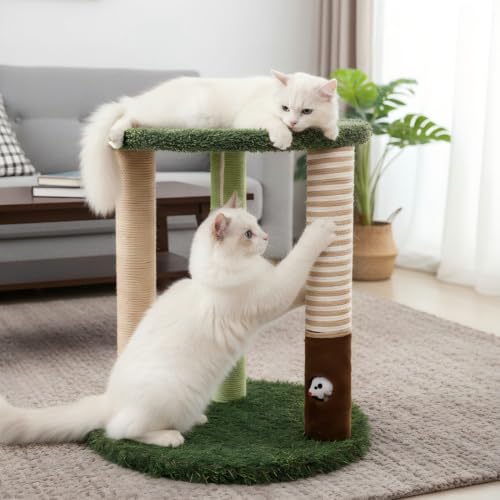 Árbol para Gatos Pequeño 17" con Base de Césped y Rascadores miniatura 4