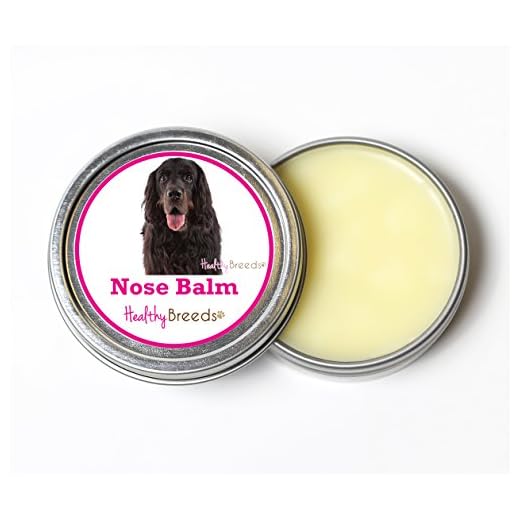 Healthy Breeds Gordon Setter Dog Nose Balm 2 oz