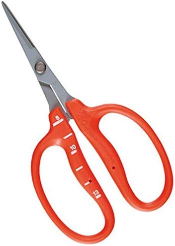 Chikamasa Garden Scissors B500SLF (1)