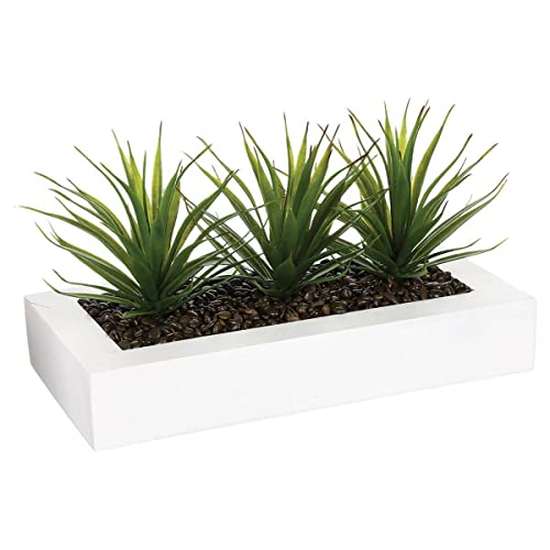 Atmosphera Centro de Mesa - 3 Aloe Vera - Altura 17 cm, Blanco, L. 31 x l. 16 x H. 17 cm