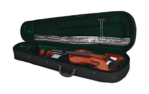 Image of Parrot Nakoda Music 4-Strings Parrot Violin, Right Handed, Brown, With Case
