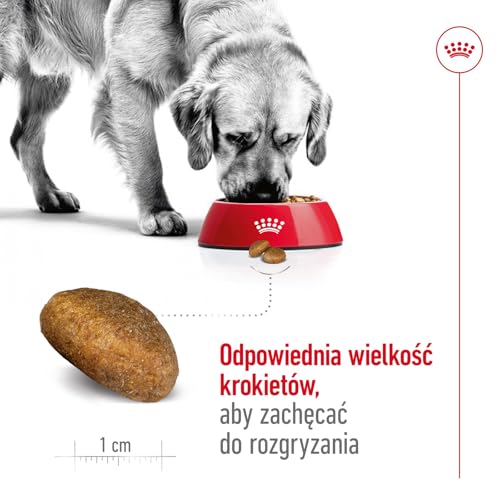 Royal Canin Maxi Adult | 4 kg | Alleinfuttermittel für Hunde großer Rassen | Omega -3 Fettsäuren für Haut und Fell | Abgestimmter Energiegehalt und angepasste Krokettengröße