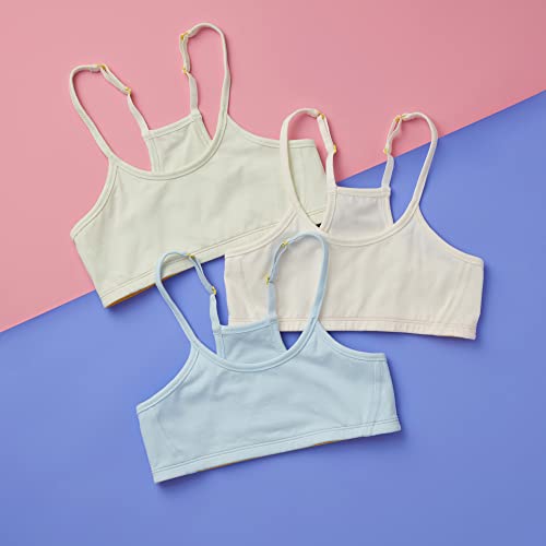 Willow Basics Collection Bra Bundle2