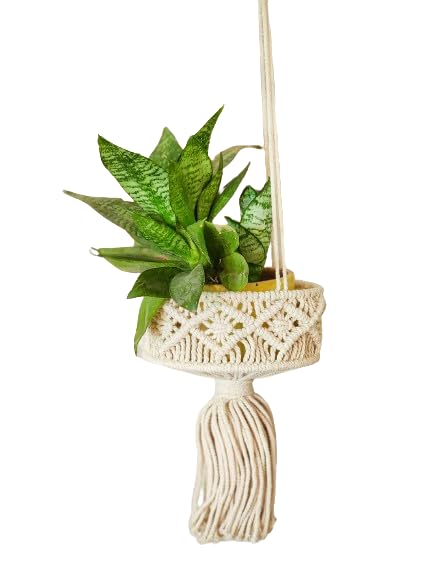Mini Bageecha Macrame Plant Hanger with Hook Pack of 1 | 16Bx10Hx10L cm | Macrame Hanging Plant Holder | Macrame Planter | Macrame Plant Hanging Décor | Macrame Plant Basket | Macrame Plant Pot (B0CPFSDVWM) Amazon Price History, Amazon Price Tracker