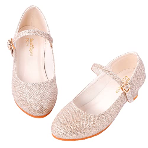 BEARAE Girls Mary Jane Shoes Party Dress Shoes Low Heel Girls Dress Shoes Wedding Party Mary Jane Princess Shoes for Kids4