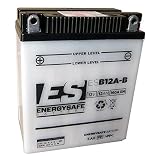 Energysafe 681239 Batteria, Universale