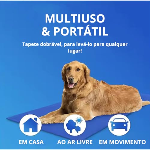 PETING IS CARING Tapete Gelado para Cachorros (50x90)