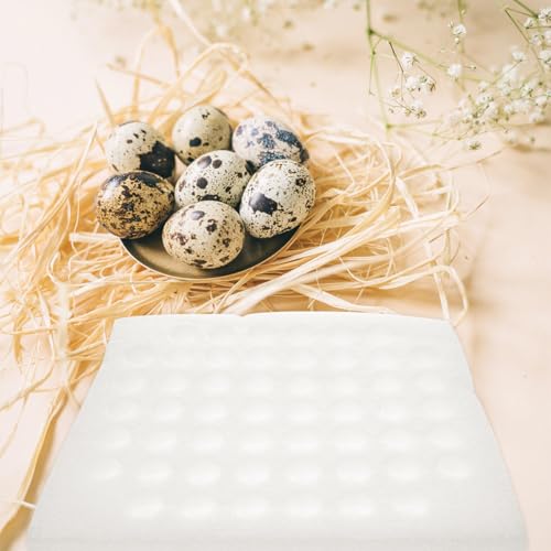 Soporte para huevos de codorniz protector con 52 huecos y bandeja de espuma para cocina 5