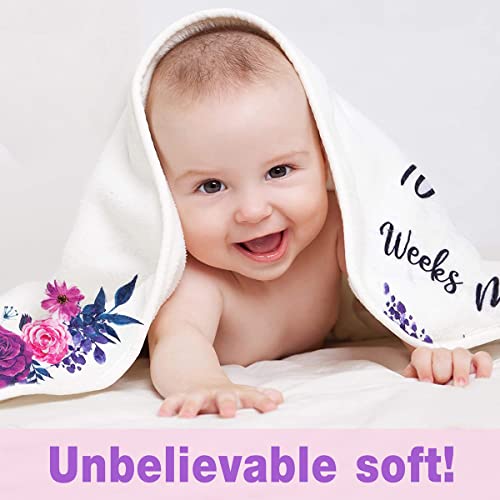 Image of Monthly Milestone Blanket for Baby Girl, 40 inchx40 inch Soft Flannel Pink Princess Memory Growth Blanket, Photography Backdrop Prop for Newborn Baby Shower, 1 to 12 Months Include Marks BTXTPH836